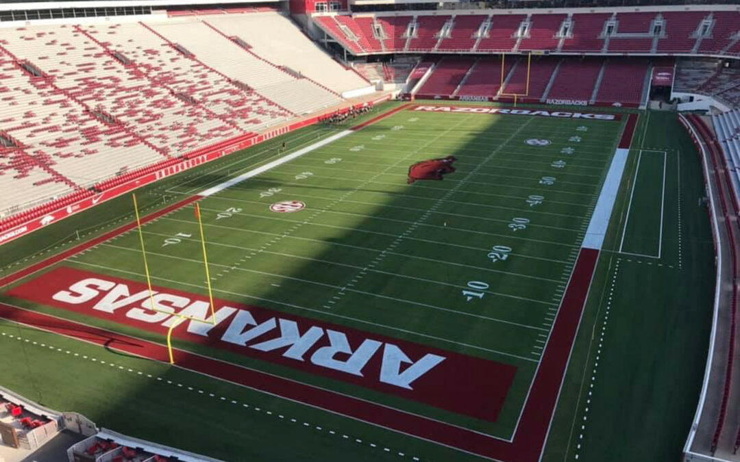 Natural Grass in the Natural State at Razorback Stadium